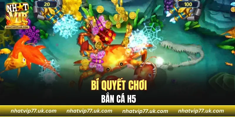Bí quyết chơi bắn cá H5 thắng lớn ngay từ lần đầu