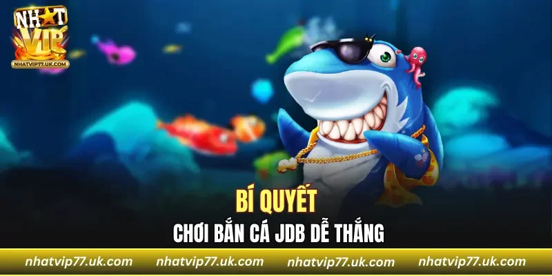 Bí quyết thắng lớn đến từ các chuyên gia cho người chơi
