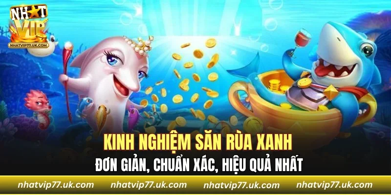 Kinh nghiệm săn rùa xanh đơn giản, chuẩn xác, hiệu quả nhất