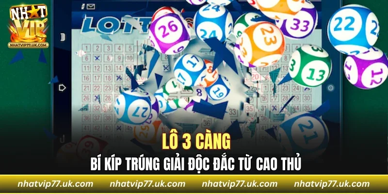 Lô 3 Càng